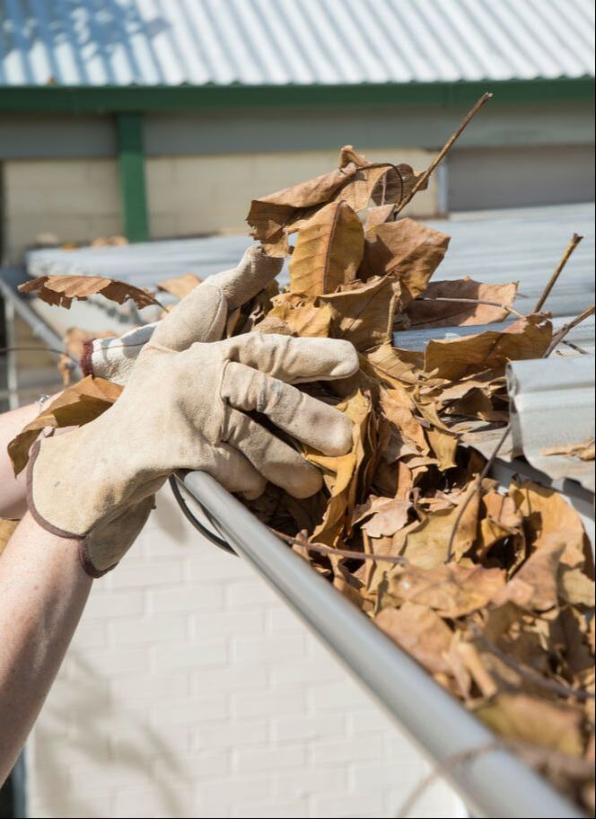 Scooping leaves out of rain gutter