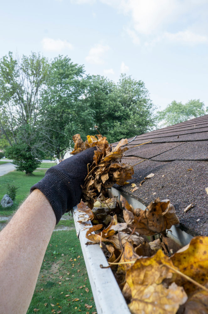 Removing leaves from gutters